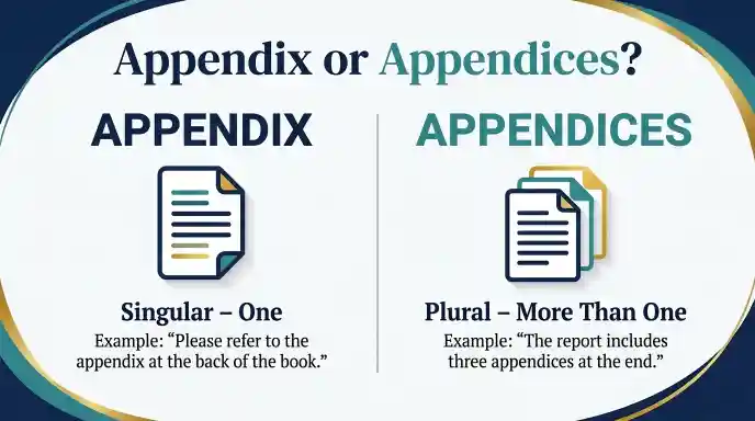 Appendix or Appendices