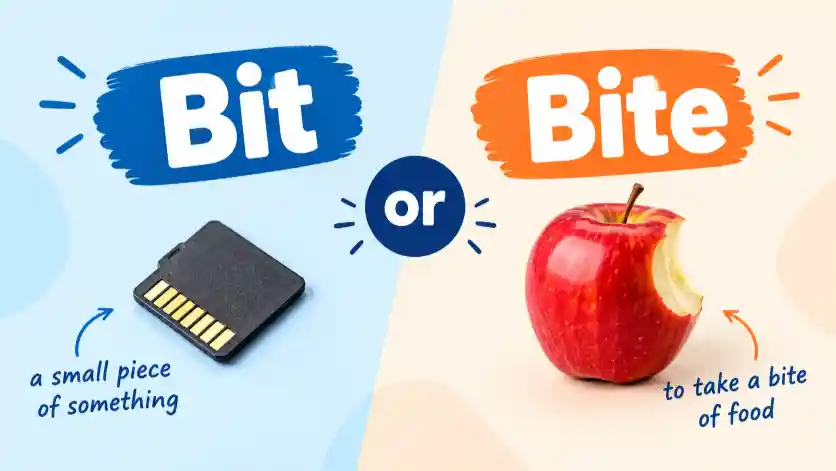 Bit or Bite